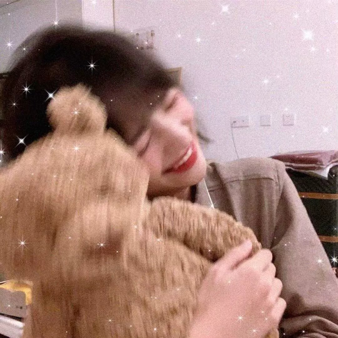 陛下要不您就认个错吧